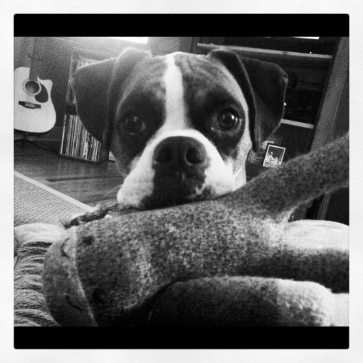 Love my sock monkey!