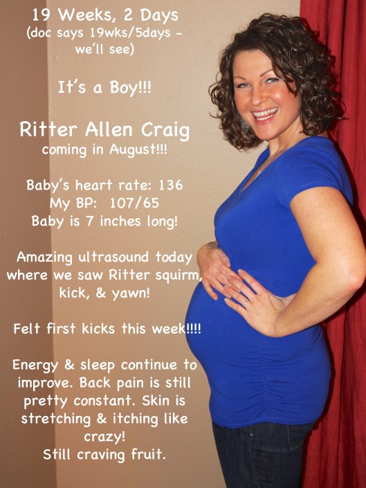 19 weeks 2 days