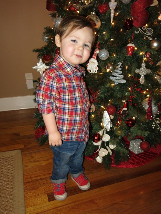 I was trying so hard to get a cute one in front of the tree...but he was chewing a mouth full of peanuts. ha. 